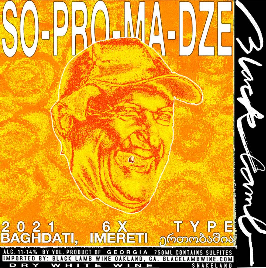 SOPROMADZE: 2021 6x Type